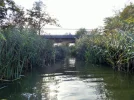DSCF8366 (2).webp