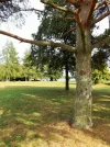 DSCF8622 (2).webp