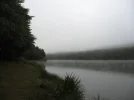 256.webp