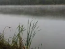5301R.webp