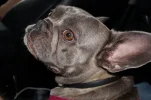 DSC00589.webp