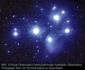 m45.webp