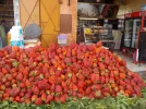 DSCN0064.webp