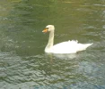 DSCN2465 (2).webp