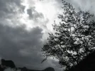 IMG_2304_resize.webp