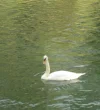 DSCN2463 (2).webp
