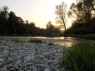 DSCN2386.webp