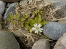 DSCN2495.webp