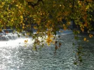 DSCN2538.webp