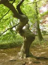 baum.webp