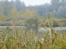 PA160047.webp