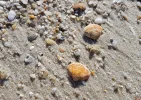 20160918_215738.webp