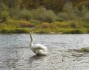 DSCN2583 (2).webp