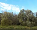 DSCN2601 (2).webp
