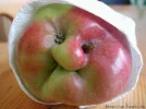 Apfel.webp