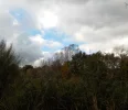 DSCN2615 (2).webp