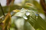DSC_2144.webp