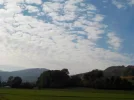 DSCN2630.webp