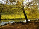 DSCN2666.webp