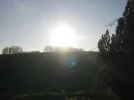 109_0931.webp