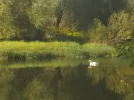 Mitten hinein, ins Königreich!