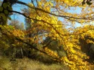 DSCN2698.webp