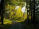 DSCN2151.webp