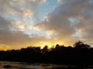 DSCN2618.webp