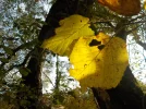 DSCN2725.webp