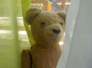 Vieles hab ich erlebt
