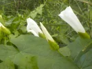 DSCN2070.webp