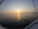 G0213072.webp
