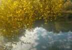 DSCN2663 (2).webp