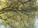DSCN2772.webp