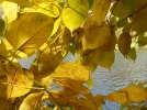 DSCN2766.webp