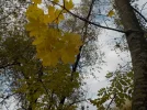 DSCN2777.webp