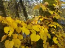DSCN2742.webp
