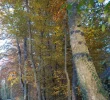 DSCN2788 (2).webp