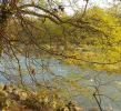 DSCN2739 (2).webp