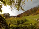 DSCN2835.webp