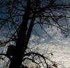 DSCN2799 (3).webp
