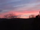 DSC00619.webp