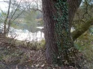 DSCN2819.webp