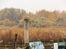 DSCF8739 (2).webp