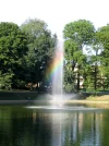 101_0132.webp