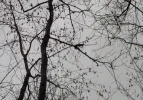 DSCN2865 (2).webp