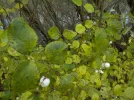 DSCN2870.webp