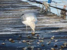 DSCF8794.webp