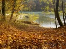 DSCN2730.webp