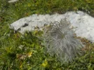 DSCN1991.webp